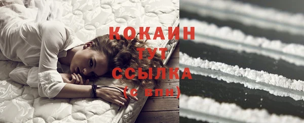 молекула духа Зеленодольск