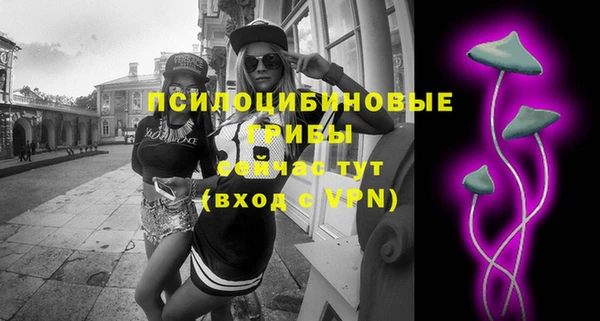 ПСИЛОЦИБИНОВЫЕ ГРИБЫ Зеленокумск