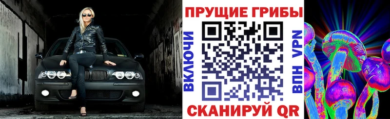 магазин продажи наркотиков  Истра  Галлюциногенные грибы мухоморы 